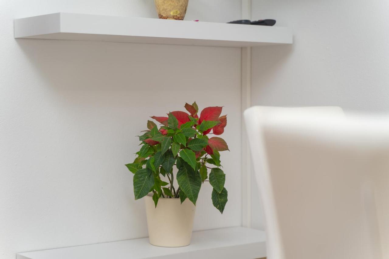 Apartament Divanovic *